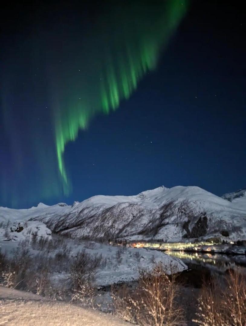 Nydelig Hytte Med Fantastisk Beliggenhet Ved Sjoen Villa Laupstad Dış mekan fotoğraf